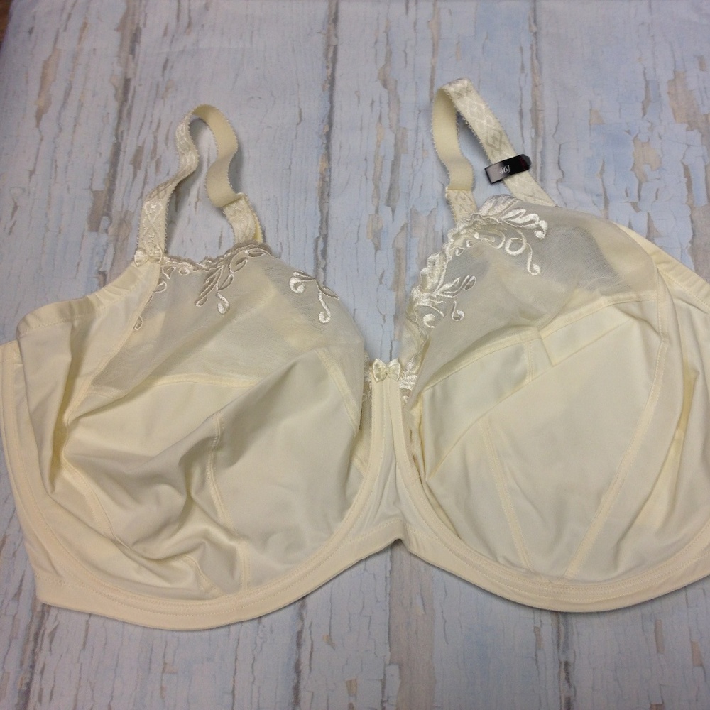1st & Curve Melrose Full-Figure Cut-n-Sewn Bra